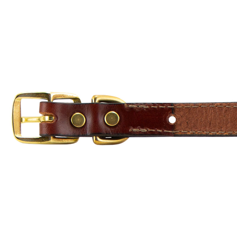 Leather Collar Buckle Detail