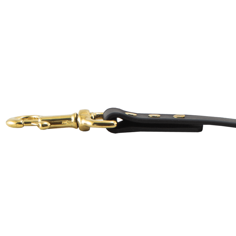 Brass Dawg Lead Snap Detail