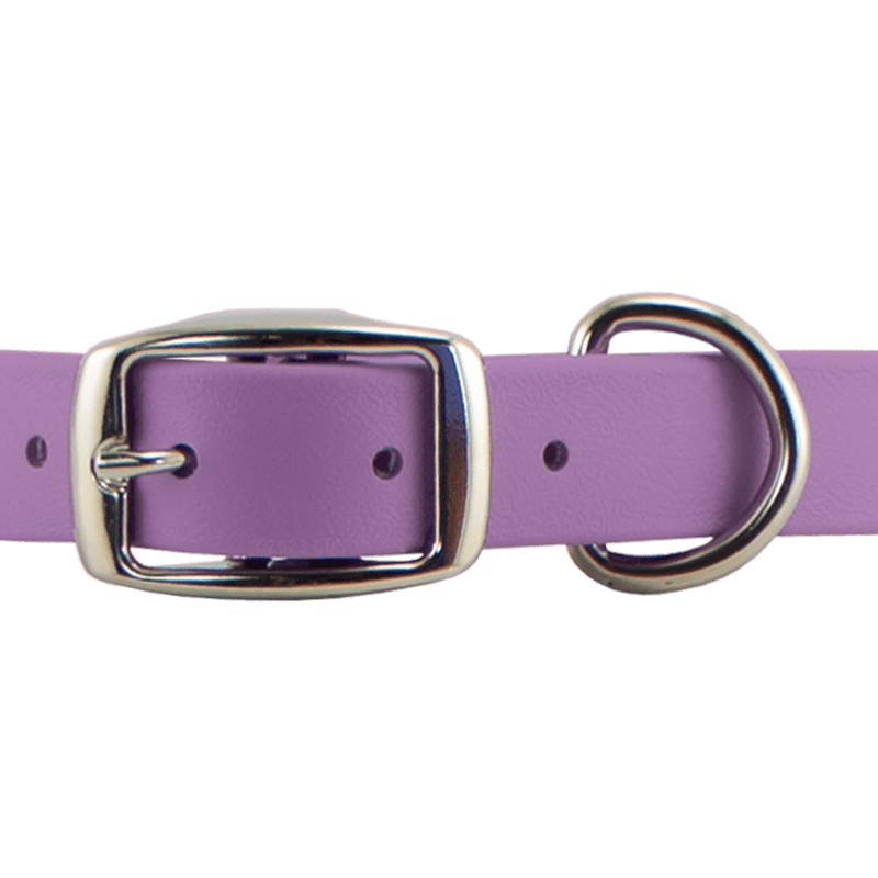 Super Heavy Biothane Center Ring Collar Front Buckle Detail