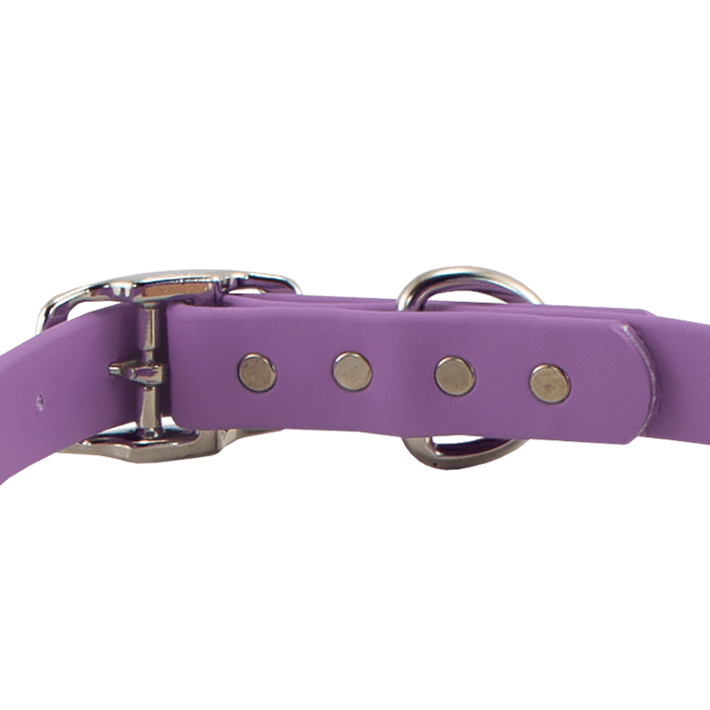 Super Heavy Biothane Center Ring Collar Back Buckle Detail