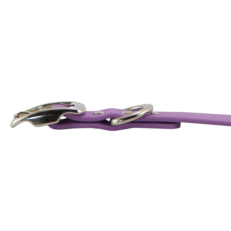 Super Heavy Biothane Center Ring Collar Buckle Side Detail