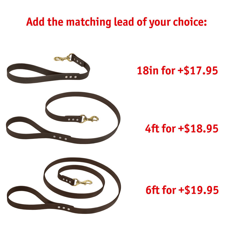 Matching Leash Option