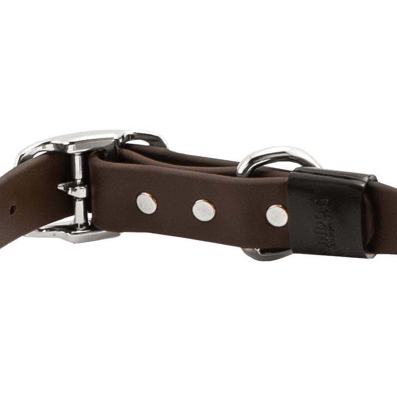 Super Heavy Biothane Center Ring Collar Back Buckle Detail