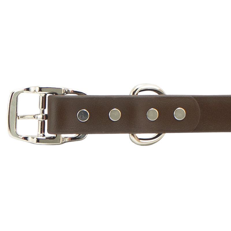 Super Heavy Biothane Center Ring Collar Buckle Detail