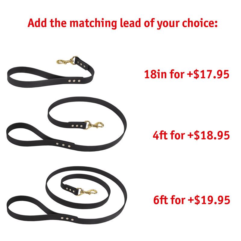 Matching Leash Options