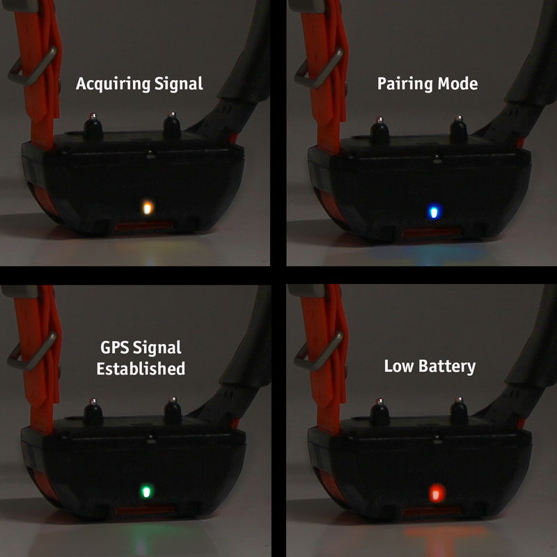 TT25 Collar Status Indicator Lights
