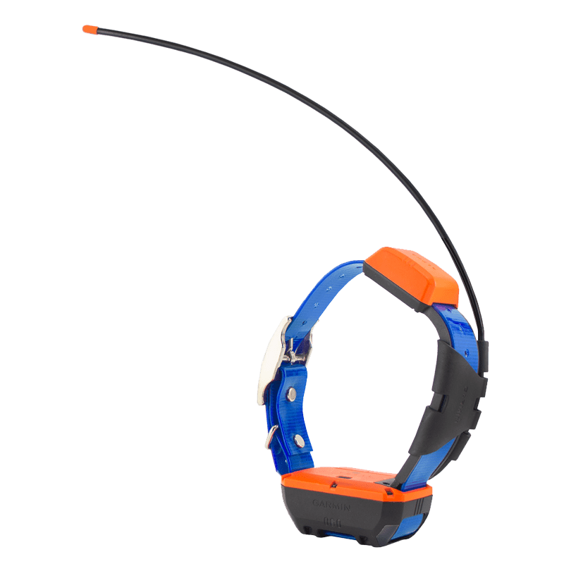 T20 Collar