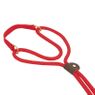 Martingale Style Dog Walker Detail
