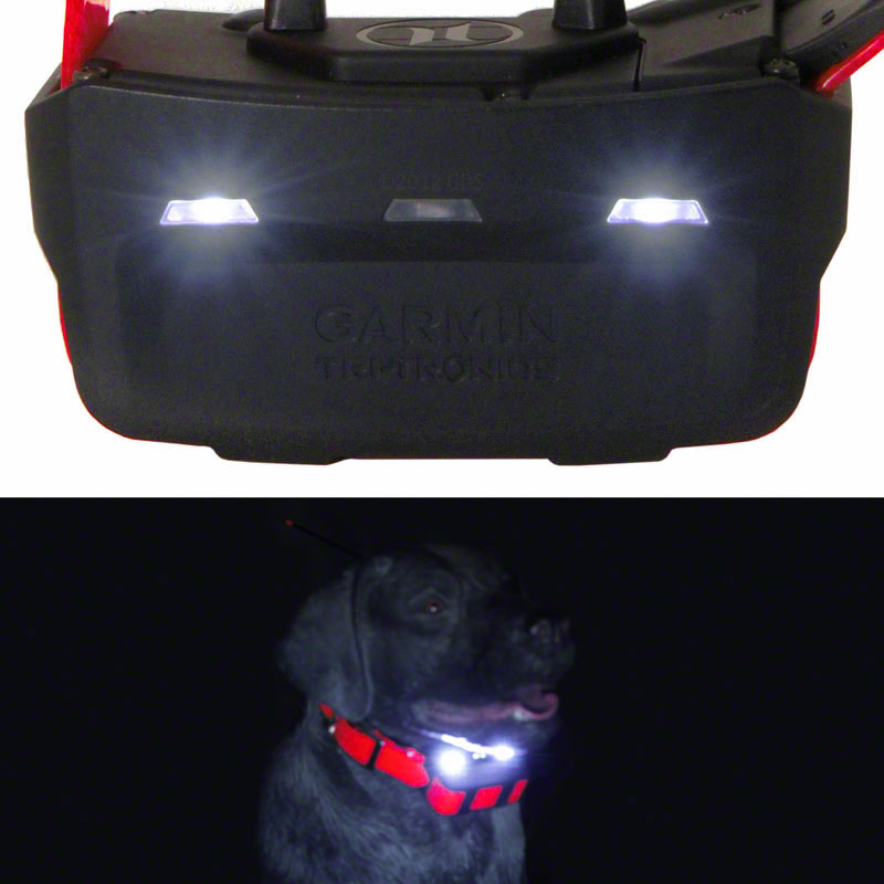 Alpha TT15X Collar Locator Lights
