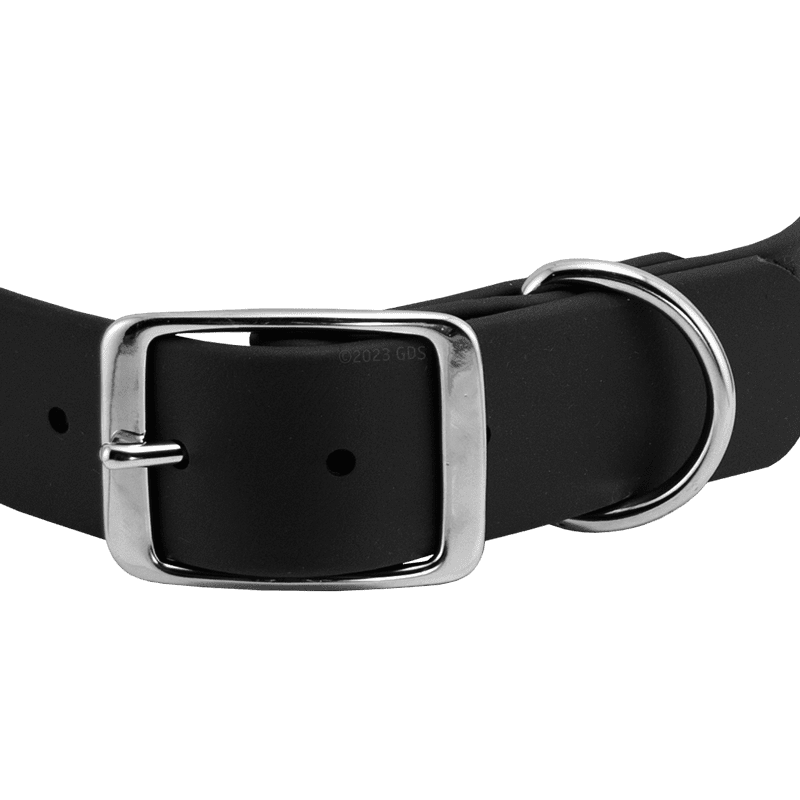 Bigger Dawg Standard Collar Buckle Front Detail