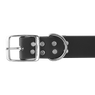 Bigger Dawg Standard Collar Buckle Detail