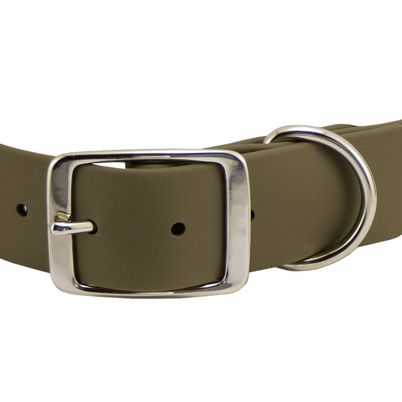 Bigger Dawg Standard Collar Buckle Front Detail