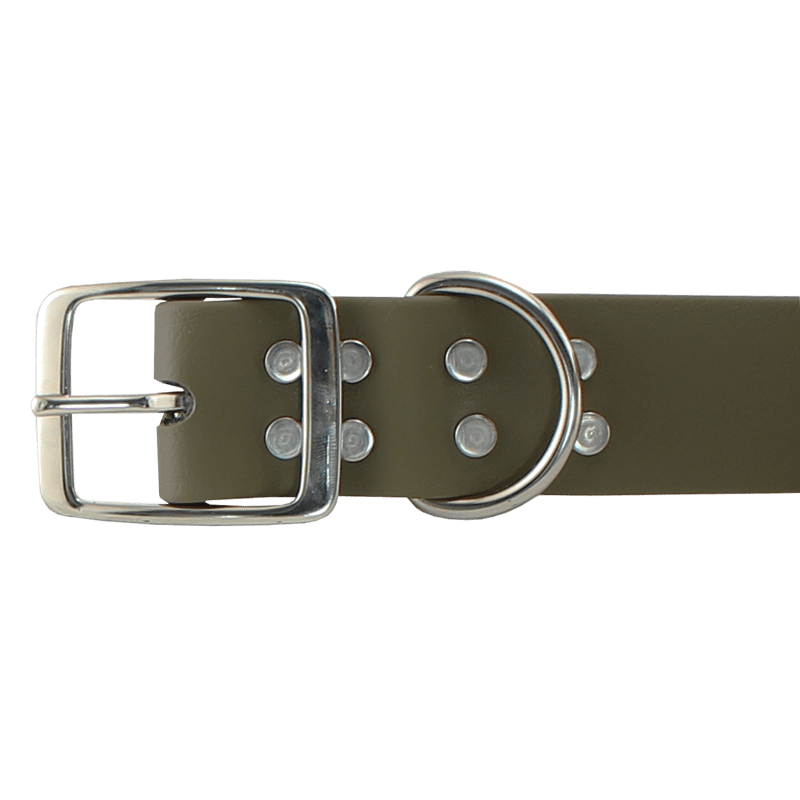 Bigger Dawg Standard Collar Buckle Detail
