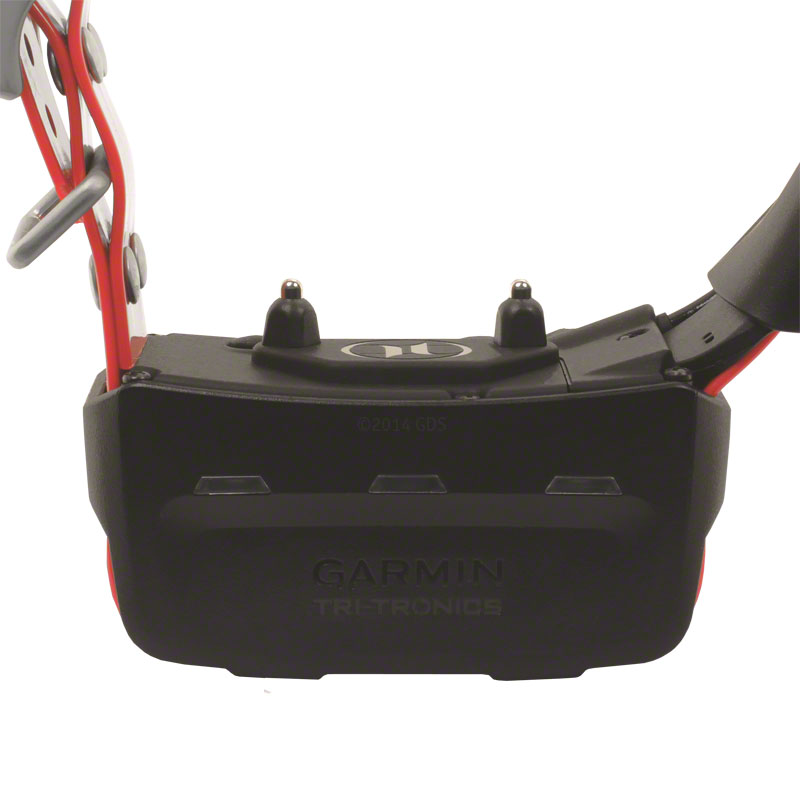 Alpha TT15 Collar Detail