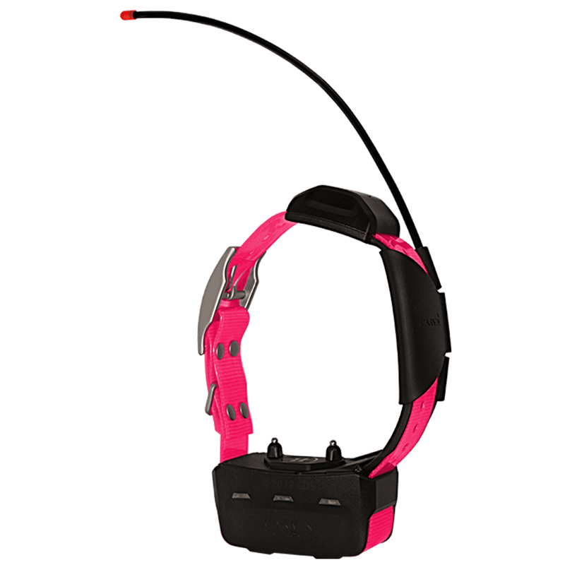 Alpha TT15 Pink Collar