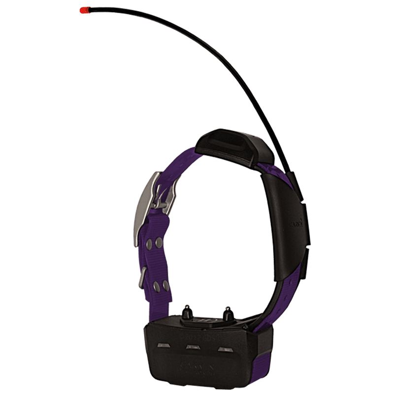 Alpha TT15 Violet Collar