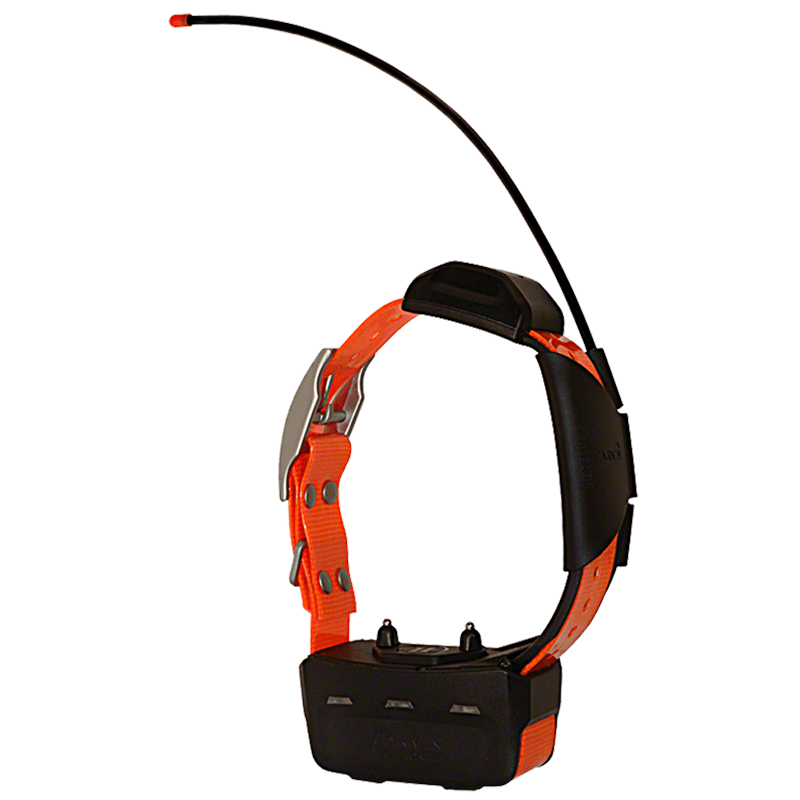 Alpha TT15 Orange Collar