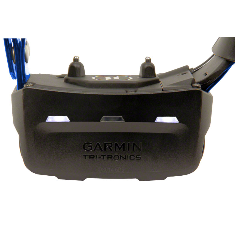 Alpha T5 Collar Light Detail