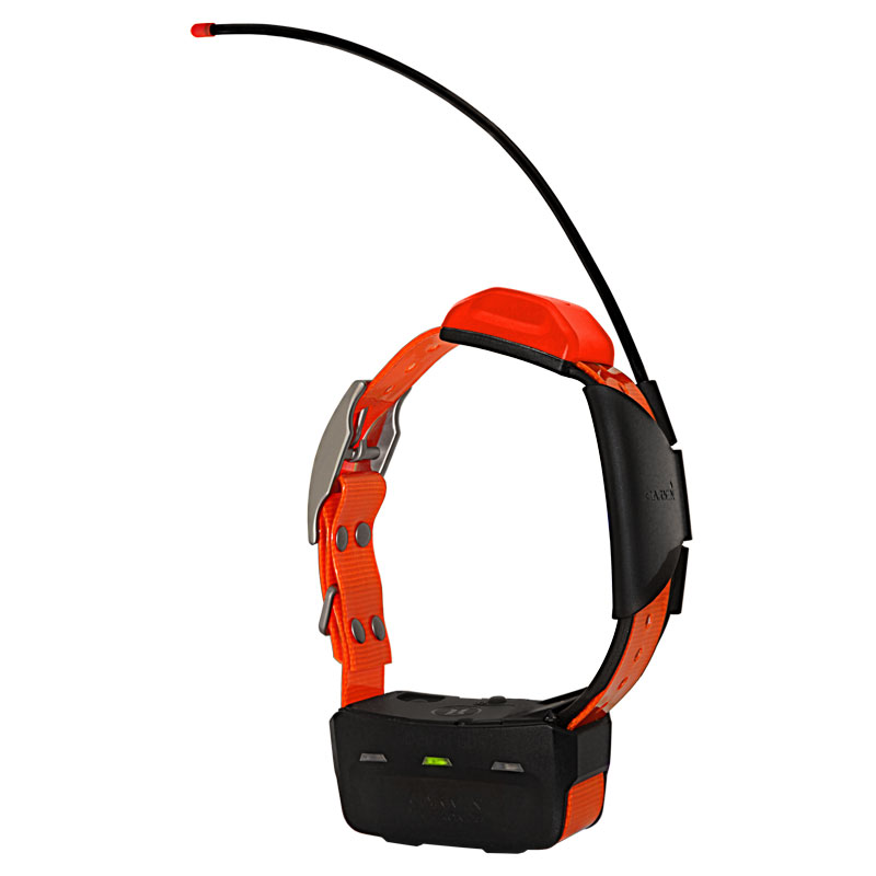 Alpha T5 Orange Collar