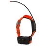 Alpha T5 Orange Collar