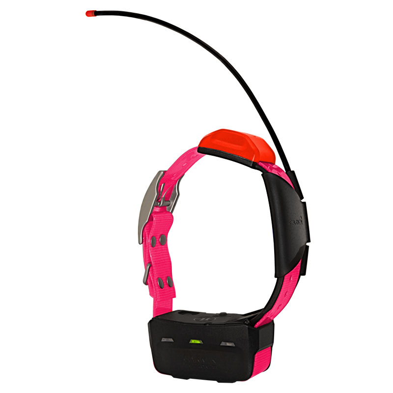 Alpha T5 Pink Collar
