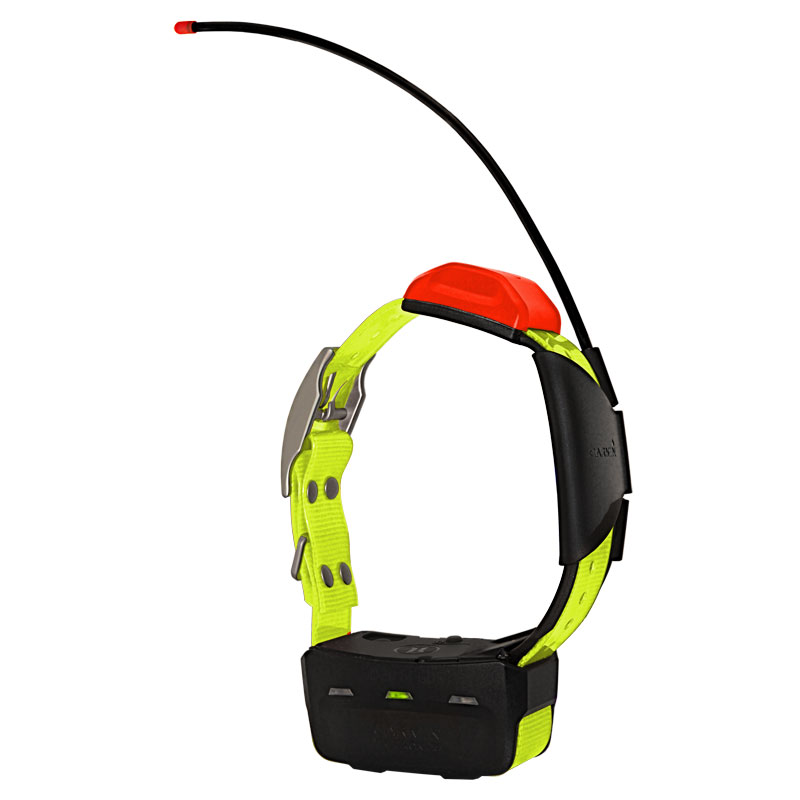 Alpha T5 Yellow Collar
