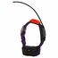 Alpha T5 Violet Collar