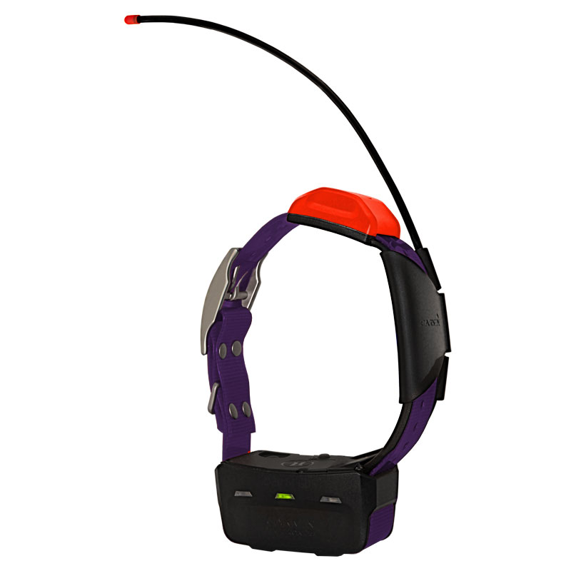 Alpha T5 Violet Collar