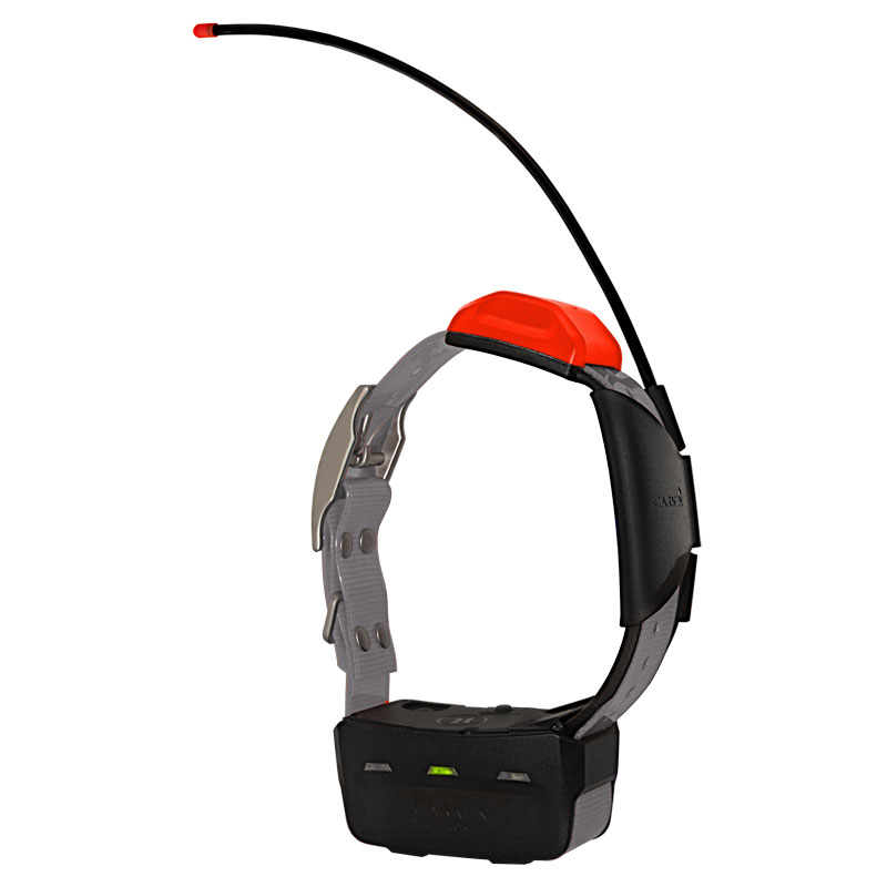 Alpha T5 Silver Collar