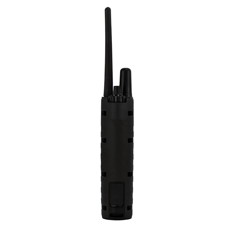 PRO 550 Plus Transmitter Back