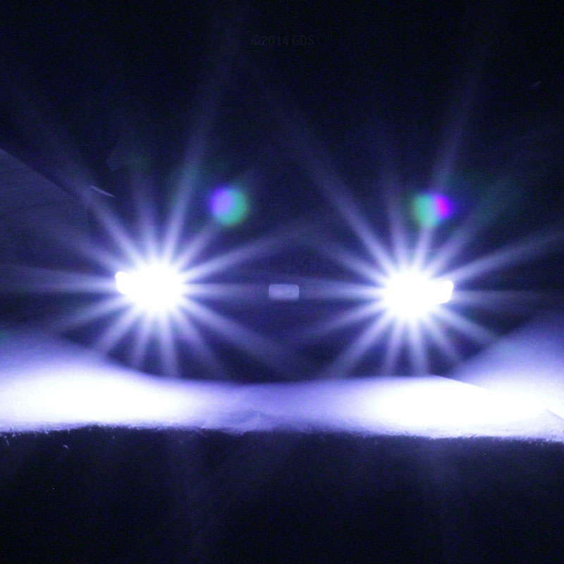 Garmin PT10 Collar Beacon Lights in Darkness