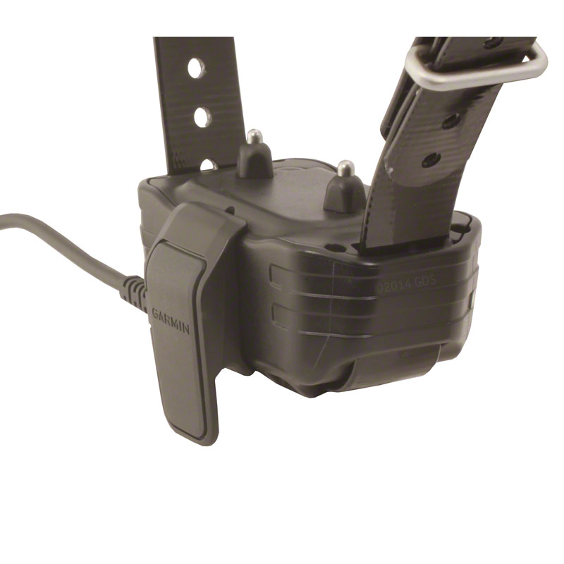 Garmin PT10 Collar on Charger Detail