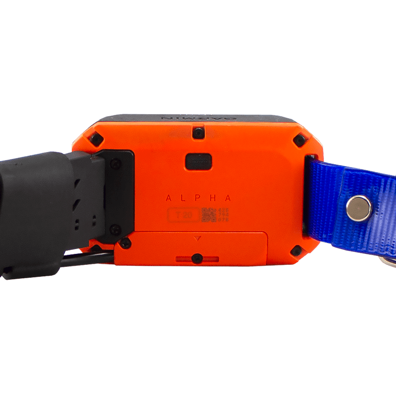 Alpha T20 Collar Inside Detail