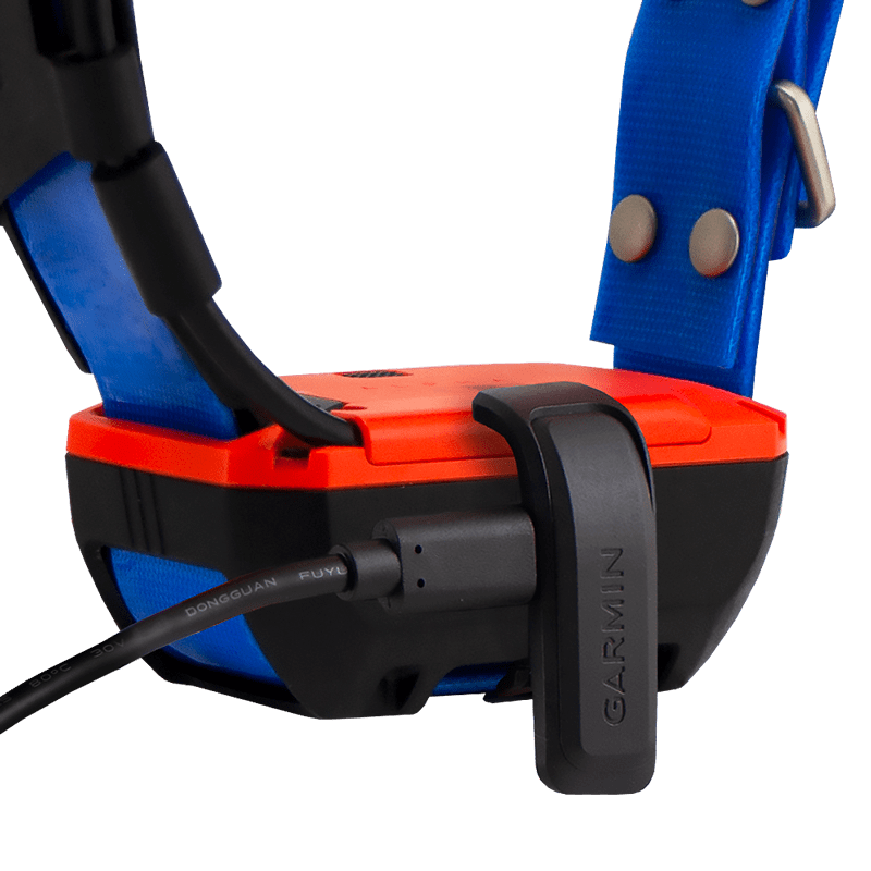 Alpha T20 Collar on Charger