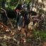 T5X Collar on a Hound