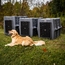 Dakota Crate Kennel Comparison