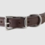 Leather Dog Collar Front of Buckle Detail