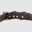 Leather Dog Collar Back of Buckle Detail