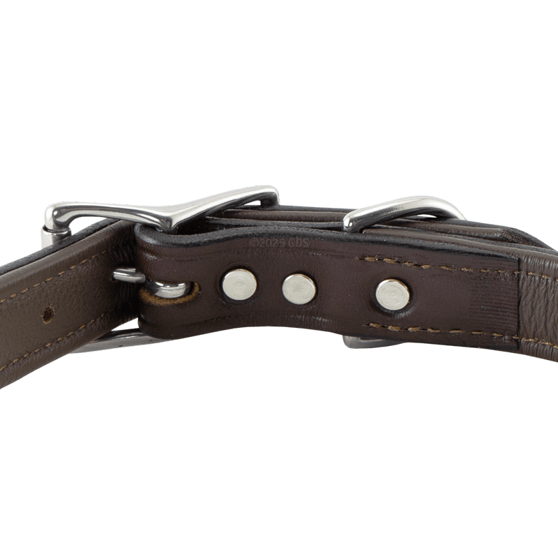 Leather Dog Collar Back of Buckle Detail