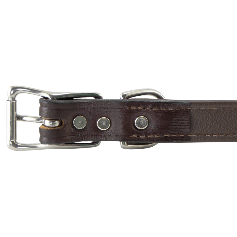 Leather Dog Collar Buckle Inside Detail