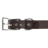Leather Dog Collar Buckle Inside Detail