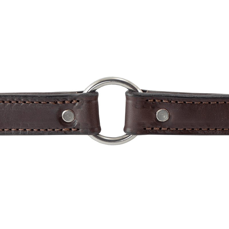 Leather Dog Collar Outside Center Ring Detail
