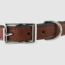 Mahogany Leather Dog Collar Front of Buckle Detail