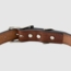 Mahogany Leather Dog Collar Back of Buckle Detail