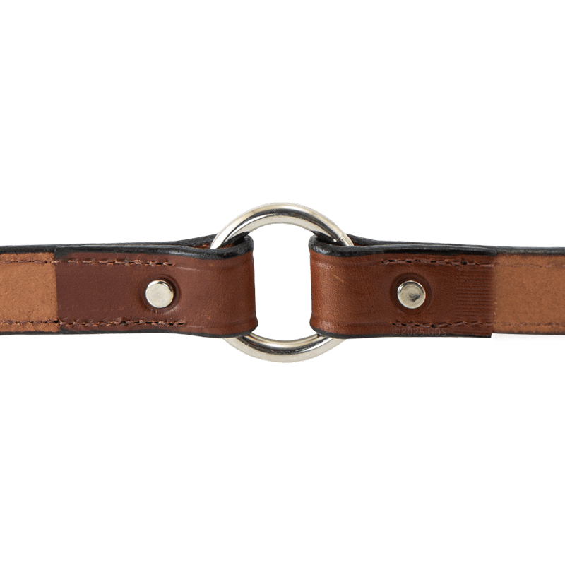 Mahogany Leather Dog Collar Outside Center Ring Detail
