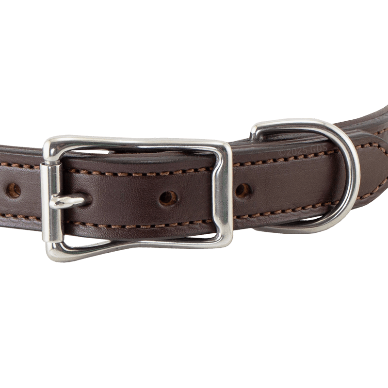 Leather Dog Collar Front of Buckle Detail