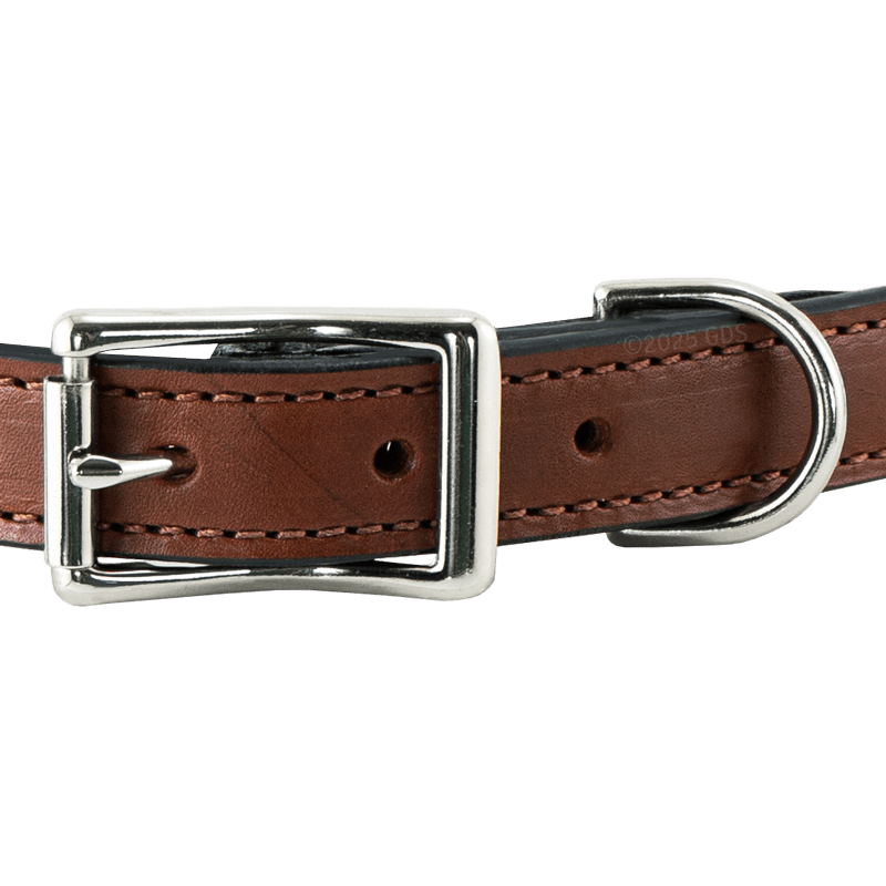 Mahogany Leather Dog Collar Front of Buckle Detail