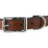 Mahogany Leather Dog Collar Front of Buckle Detail