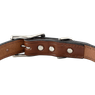 Mahogany Leather Dog Collar Back of Buckle Detail