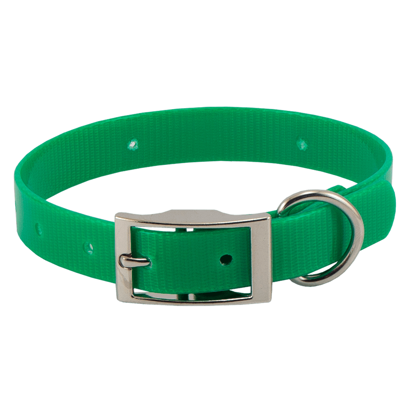 Green Beagle 3/4 in. Field Trial Dog Collar